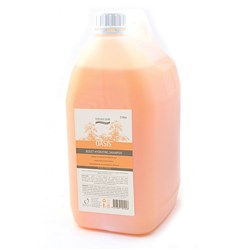 NATURAL LOOK Oasis boost hydrating shampoo